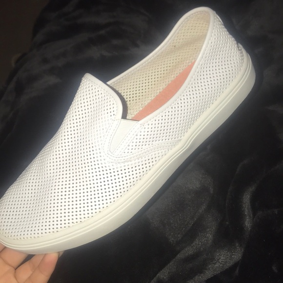 van look alike shoes